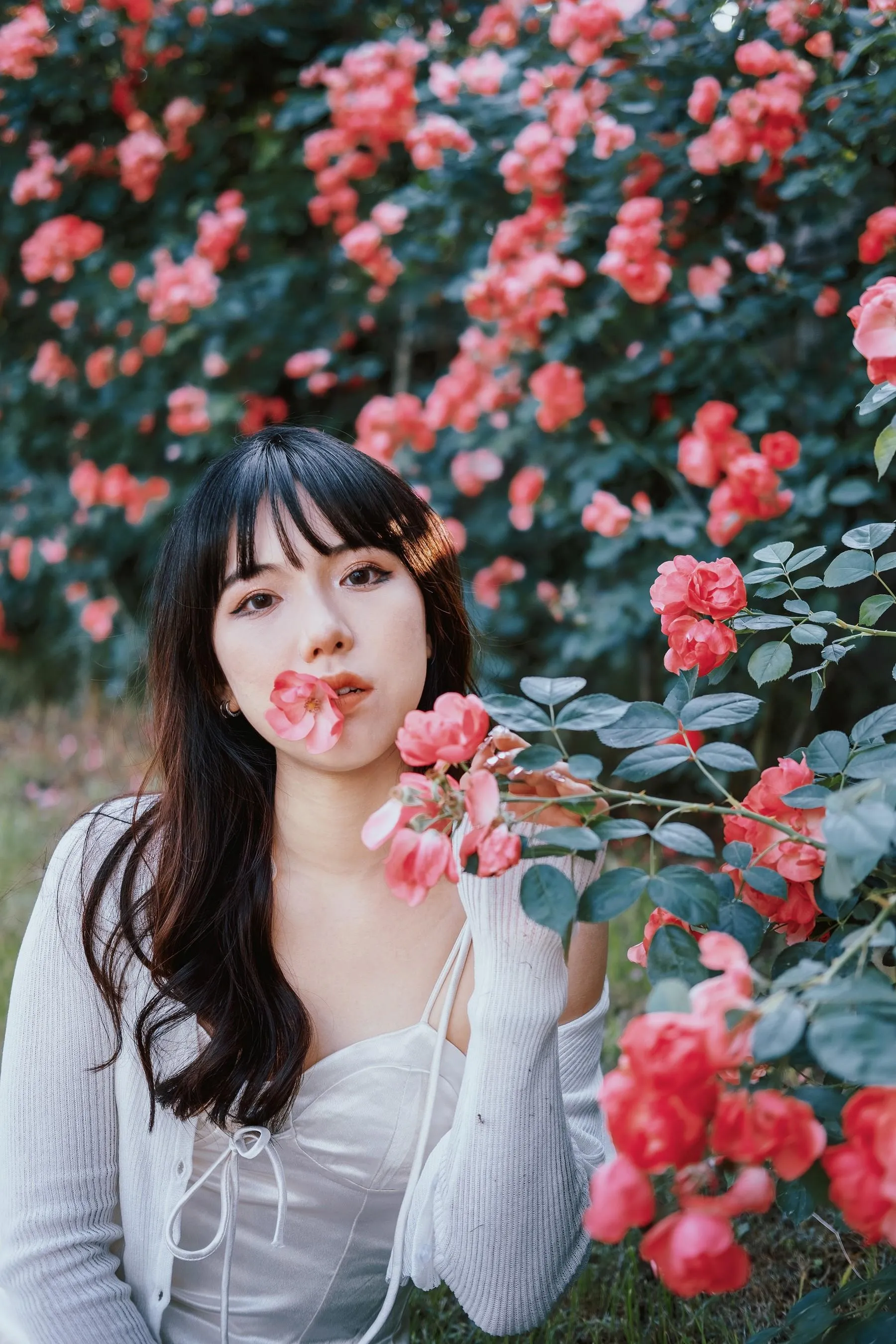 [艺图语] 2022.06.10 蔷薇花下 依依 [25P]插图1